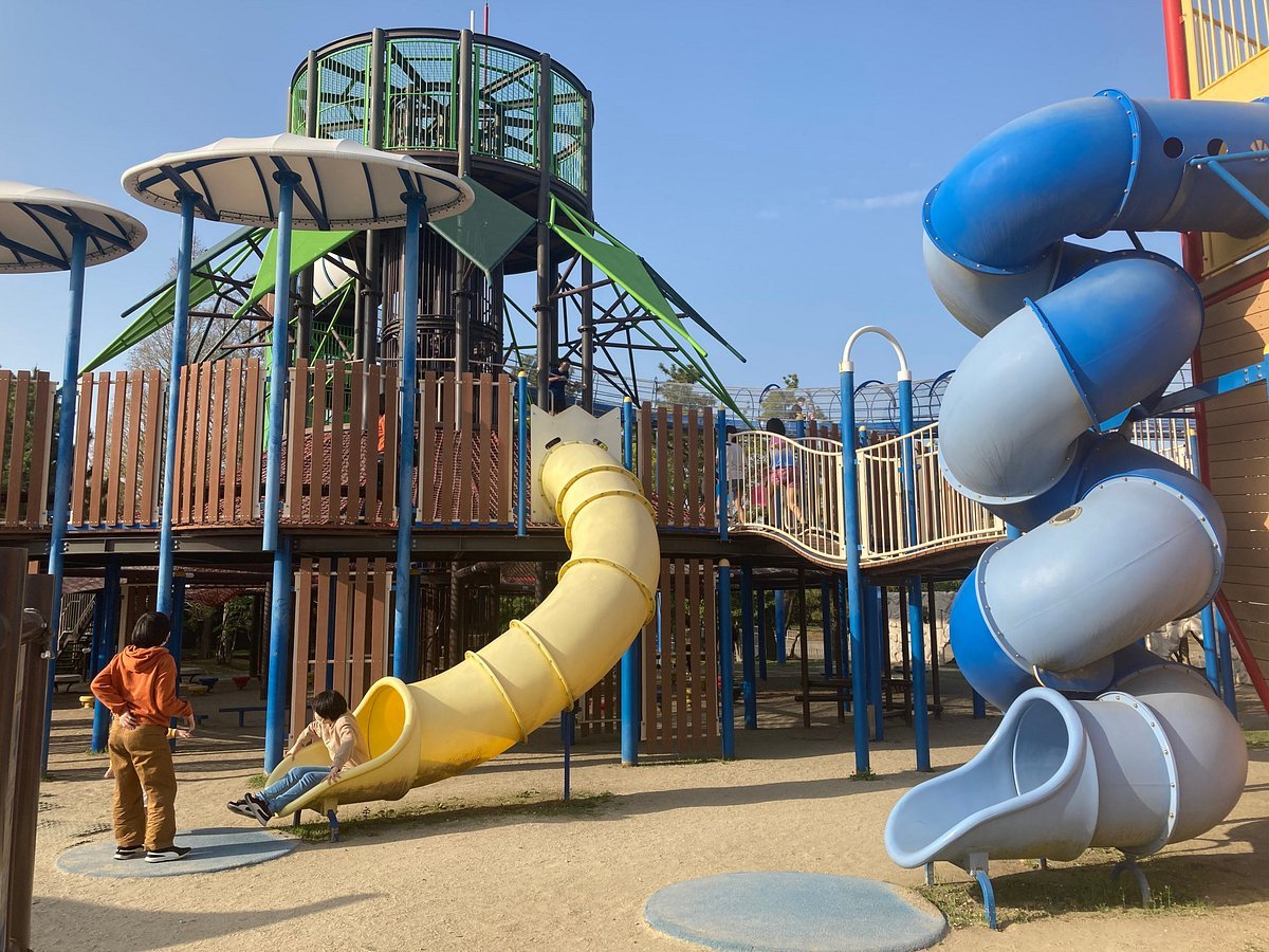 🐳 카스미 꿈고래 공원(카스미 유메쿠지라 코엔) 이미지 8